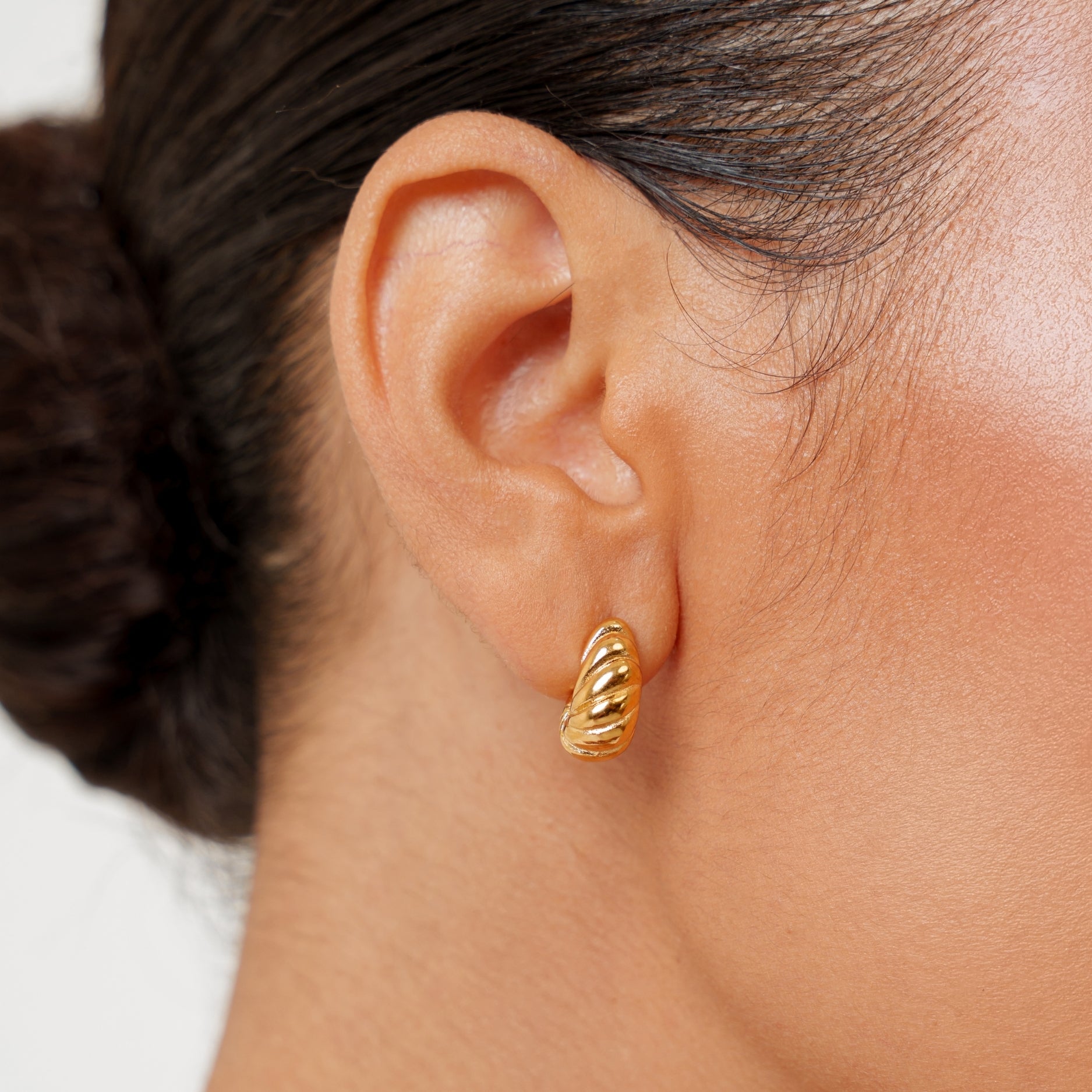 Gold Nautilus Earrings