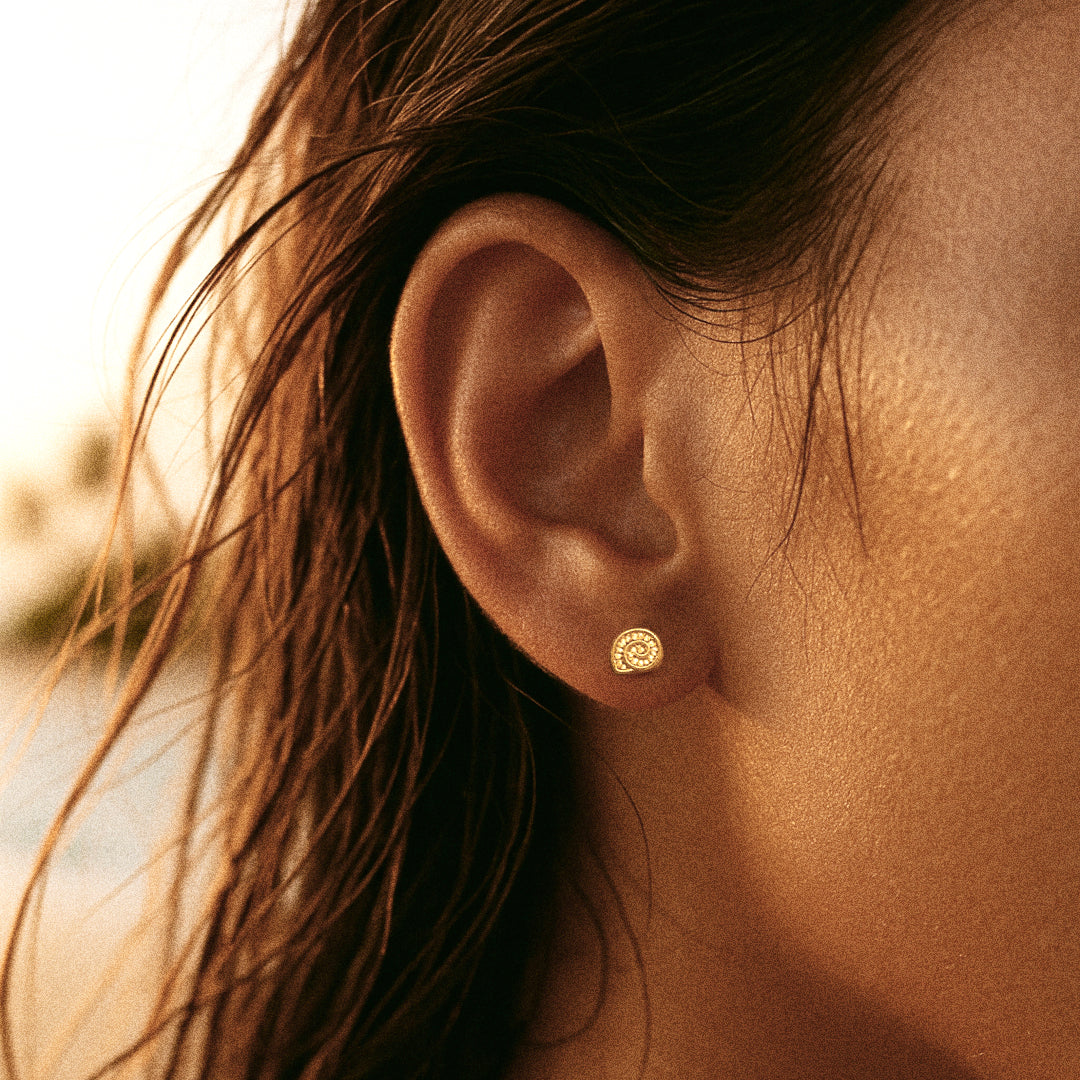 Nautilus Stud Earrings