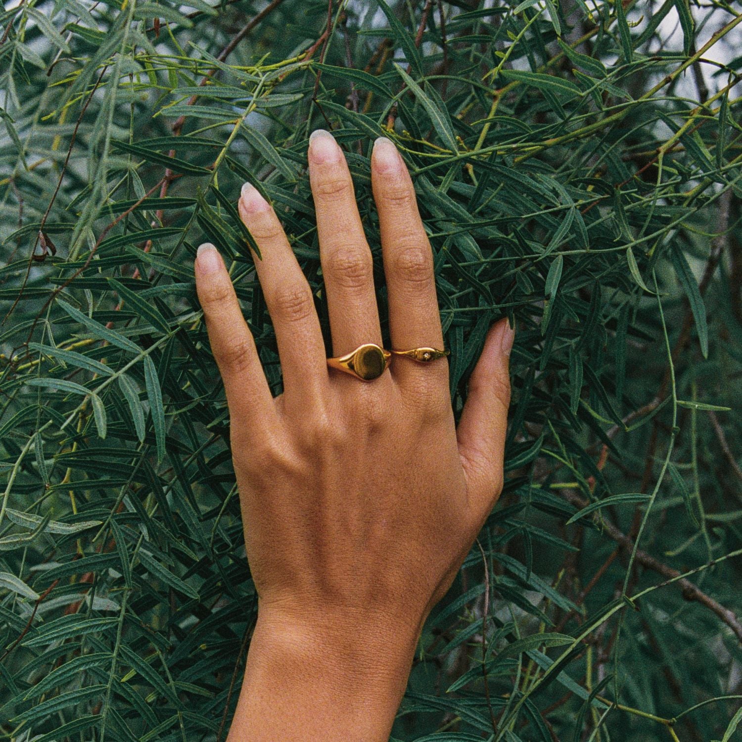 Everyday Signet Ring