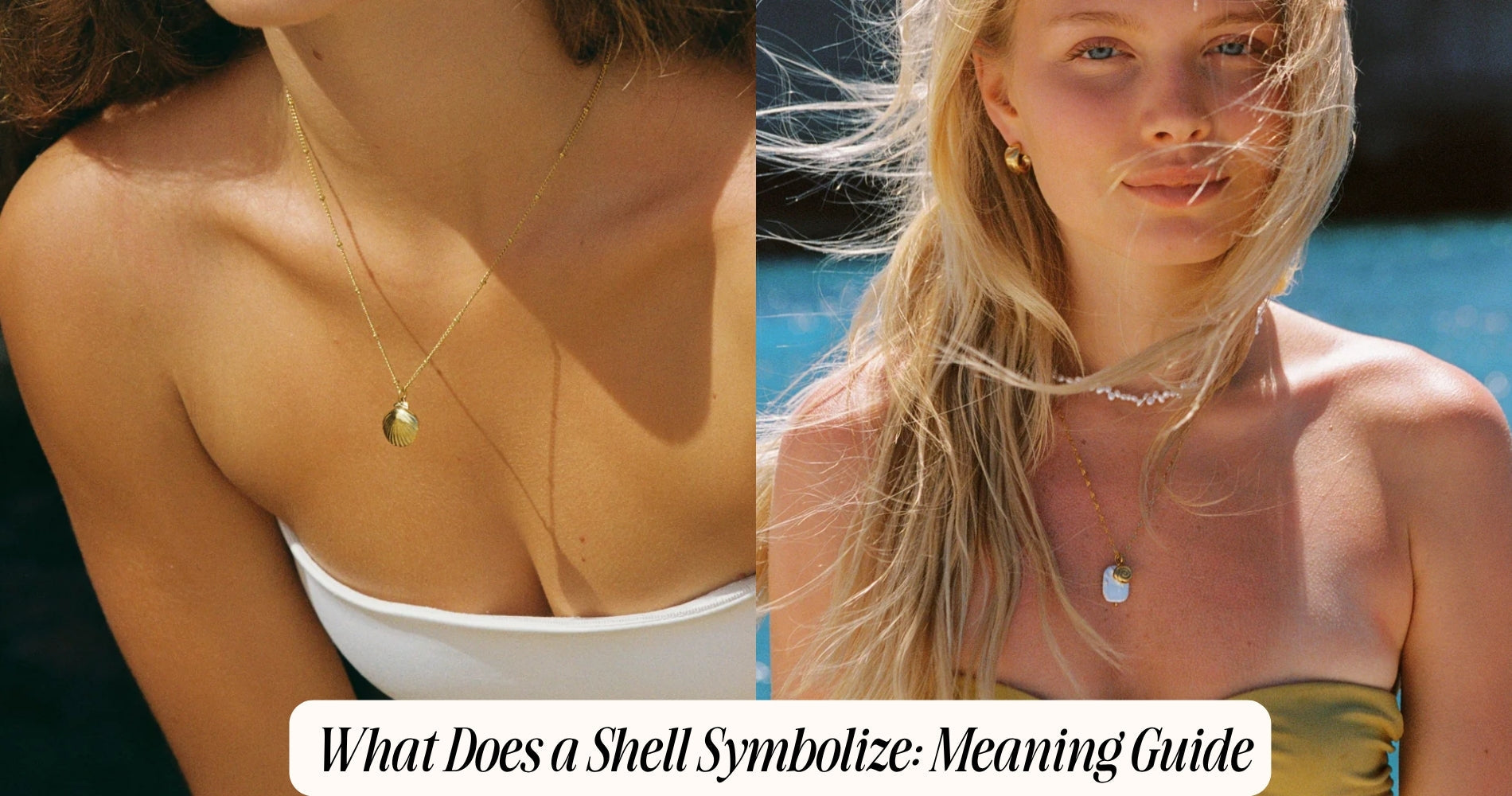 what does a shell symbolize