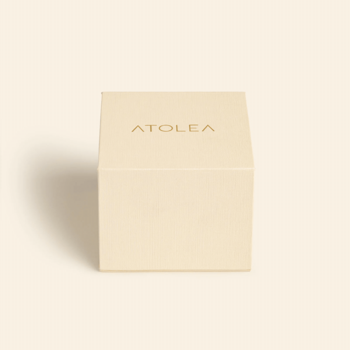 Astra Watchbox