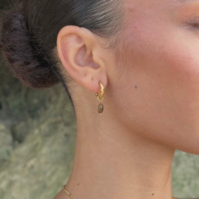 Tiger Eye Hoops Earrings